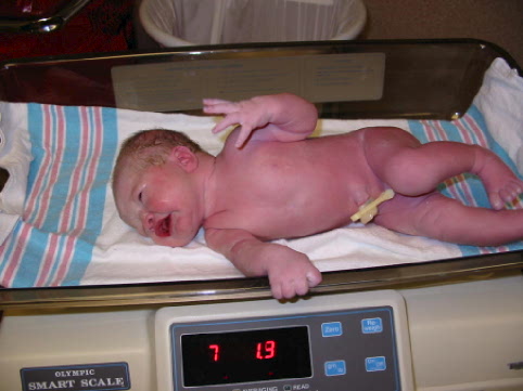 5 August 2002 Jane's weighing in